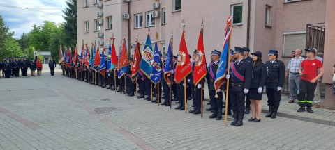 Zdjęcie - 
