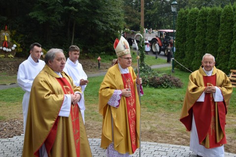 Zdjęcie - 