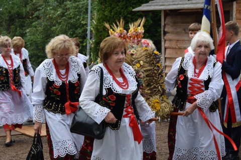 Zdjęcie - 