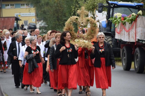 Zdjęcie - 