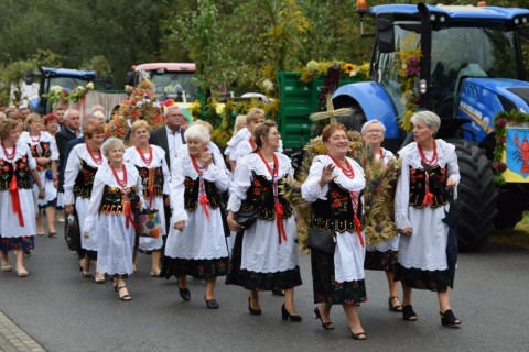 Zdjęcie - 