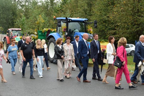 Zdjęcie - 